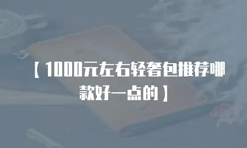 【1000元左右轻奢包推荐哪款好一点的】