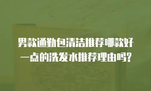 男款通勤包清洁推荐哪款好一点的洗发水推荐理由吗?