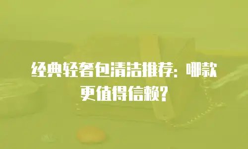 经典轻奢包清洁推荐: 哪款更值得信赖?