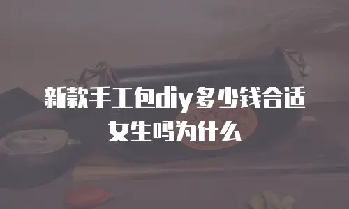 新款手工包diy多少钱合适女生吗为什么