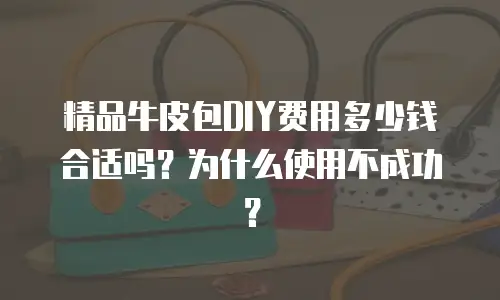 精品牛皮包DIY费用多少钱合适吗？为什么使用不成功？