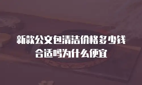 新款公文包清洁价格多少钱合适吗为什么便宜