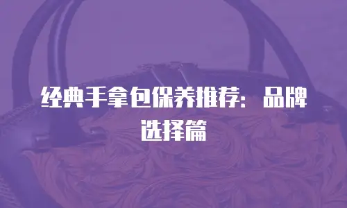 经典手拿包保养推荐：品牌选择篇