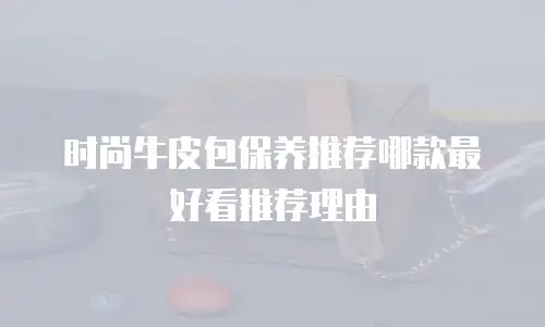 时尚牛皮包保养推荐哪款最好看推荐理由