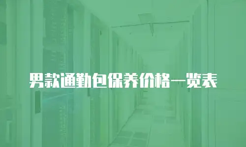 男款通勤包保养价格一览表