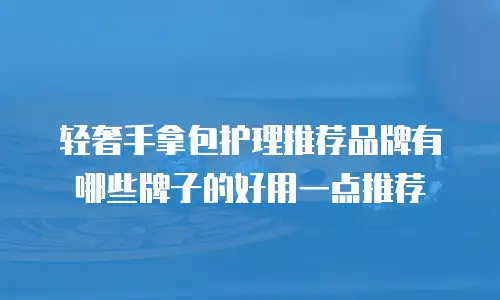 轻奢手拿包护理推荐品牌有哪些牌子的好用一点推荐