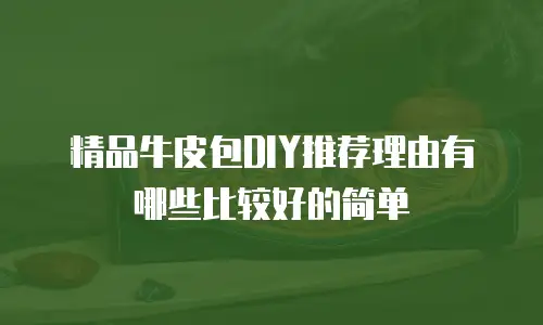精品牛皮包DIY推荐理由有哪些比较好的简单