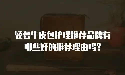 轻奢牛皮包护理推荐品牌有哪些好的推荐理由吗？
