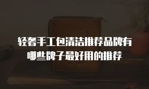 轻奢手工包清洁推荐品牌有哪些牌子最好用的推荐