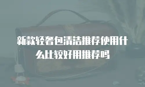 新款轻奢包清洁推荐使用什么比较好用推荐吗