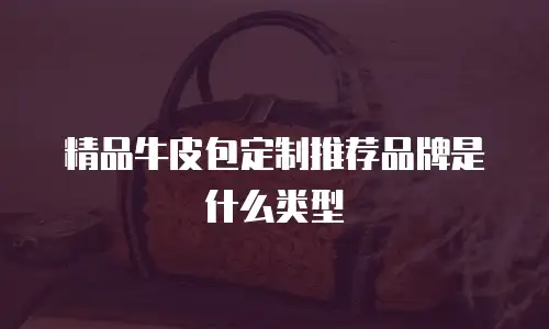 精品牛皮包定制推荐品牌是什么类型