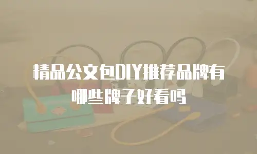 精品公文包DIY推荐品牌有哪些牌子好看吗