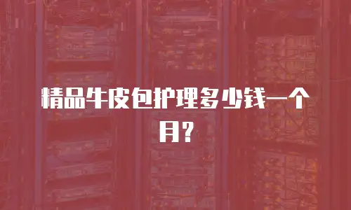 精品牛皮包护理多少钱一个月？