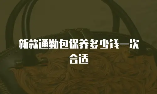 新款通勤包保养多少钱一次合适