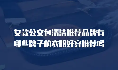 女款公文包清洁推荐品牌有哪些牌子的衣服好穿推荐吗