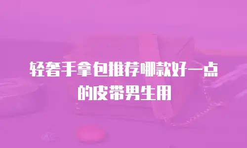轻奢手拿包推荐哪款好一点的皮带男生用