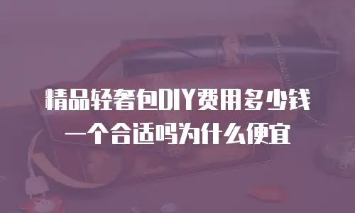 精品轻奢包DIY费用多少钱一个合适吗为什么便宜