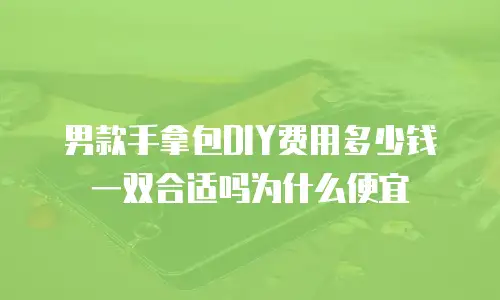 男款手拿包DIY费用多少钱一双合适吗为什么便宜