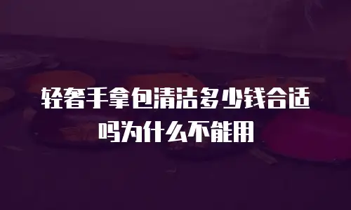 轻奢手拿包清洁多少钱合适吗为什么不能用