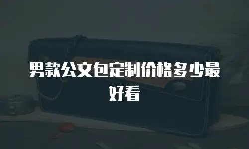男款公文包定制价格多少最好看