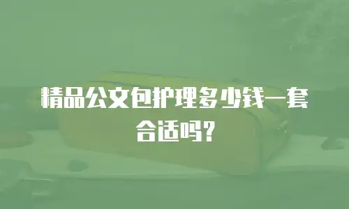 精品公文包护理多少钱一套合适吗？