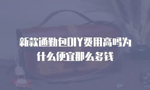 新款通勤包DIY费用高吗为什么便宜那么多钱