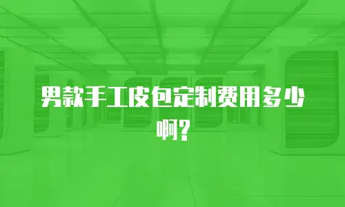 男款手工皮包定制费用多少啊?