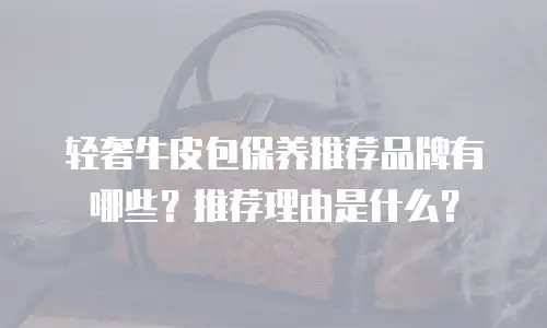 轻奢牛皮包保养推荐品牌有哪些？推荐理由是什么？