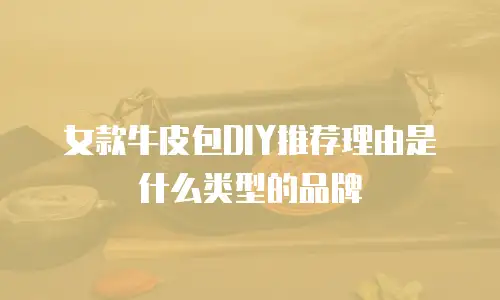 女款牛皮包DIY推荐理由是什么类型的品牌