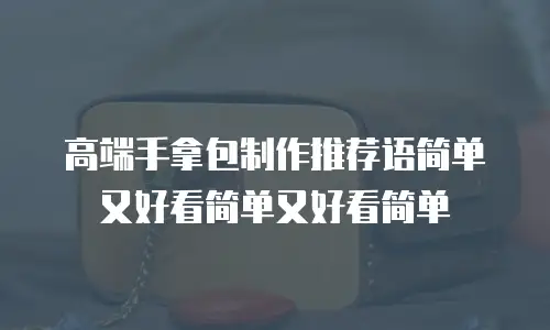 高端手拿包制作推荐语简单又好看简单又好看简单