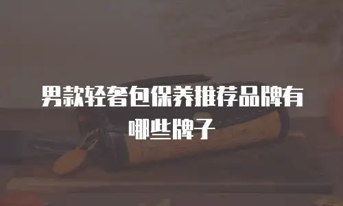 男款轻奢包保养推荐品牌有哪些牌子