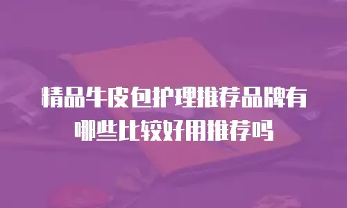 精品牛皮包护理推荐品牌有哪些比较好用推荐吗