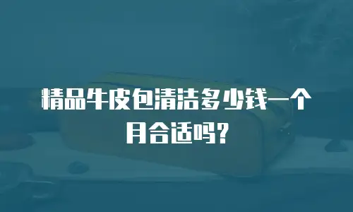 精品牛皮包清洁多少钱一个月合适吗？