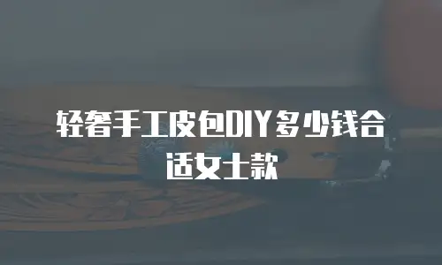 轻奢手工皮包DIY多少钱合适女士款