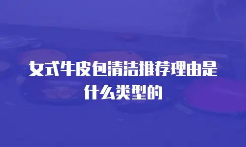 女式牛皮包清洁推荐理由是什么类型的