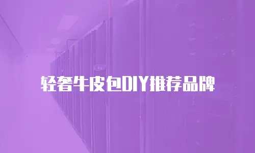 轻奢牛皮包DIY推荐品牌