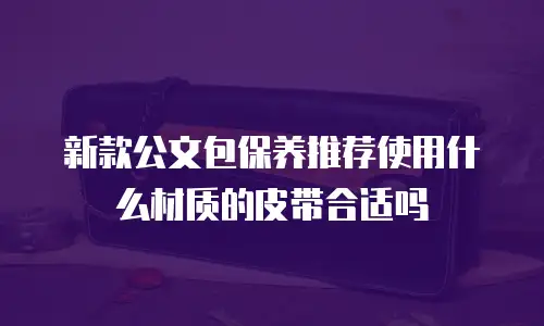 新款公文包保养推荐使用什么材质的皮带合适吗