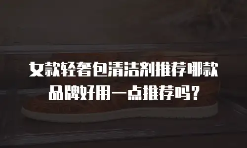 女款轻奢包清洁剂推荐哪款品牌好用一点推荐吗？