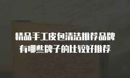 精品手工皮包清洁推荐品牌有哪些牌子的比较好推荐