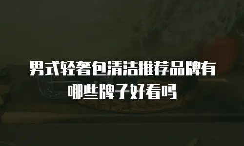 男式轻奢包清洁推荐品牌有哪些牌子好看吗