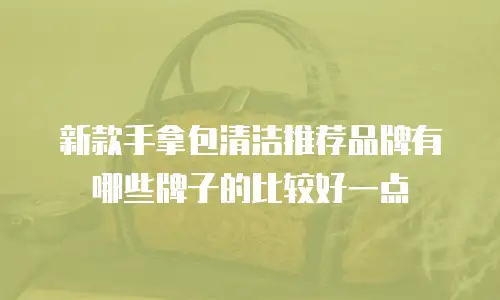 新款手拿包清洁推荐品牌有哪些牌子的比较好一点