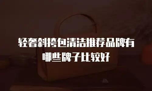 轻奢斜挎包清洁推荐品牌有哪些牌子比较好