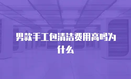 男款手工包清洁费用高吗为什么