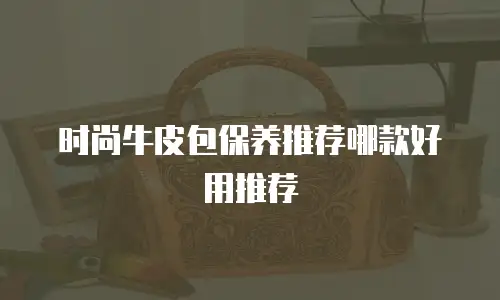 时尚牛皮包保养推荐哪款好用推荐