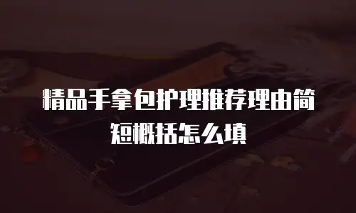 精品手拿包护理推荐理由简短概括怎么填