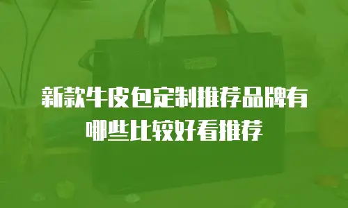新款牛皮包定制推荐品牌有哪些比较好看推荐
