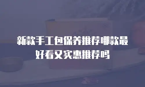 新款手工包保养推荐哪款最好看又实惠推荐吗