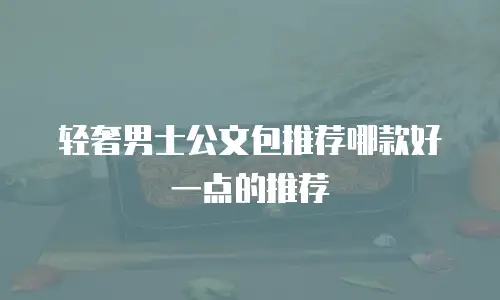 轻奢男士公文包推荐哪款好一点的推荐