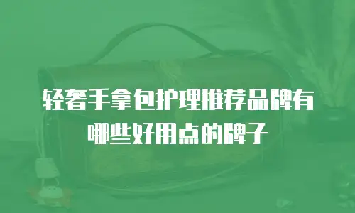 轻奢手拿包护理推荐品牌有哪些好用点的牌子