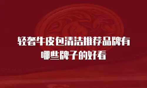轻奢牛皮包清洁推荐品牌有哪些牌子的好看
